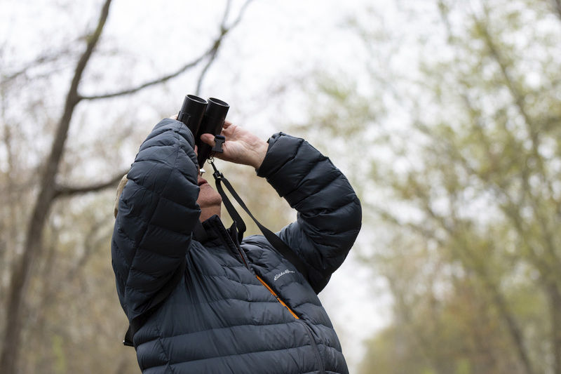 American icon lures 'birders' to lake birder